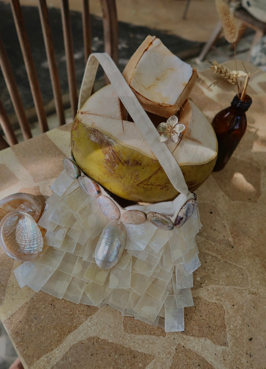 Maria - Rectangular seashell & stone handbag